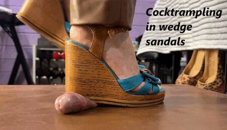 Cock trampling in wedge sandals (wmv)