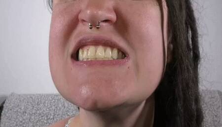 Dylan's 1st mouth tour