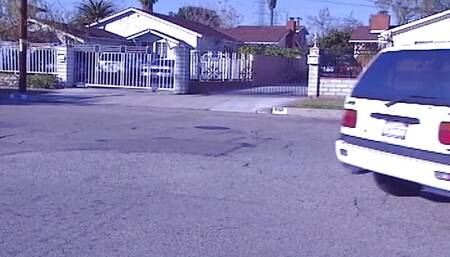 Redhead lesbian babes satisfying each other's needs