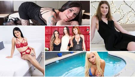 BOBSTGIRLS - Compilation Updates 23rd Sept to 27th Sept '24