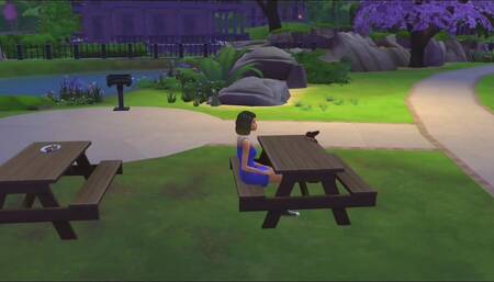 Stepsis fuck in the park