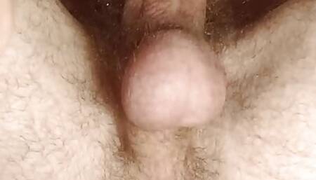 23cmmthairy