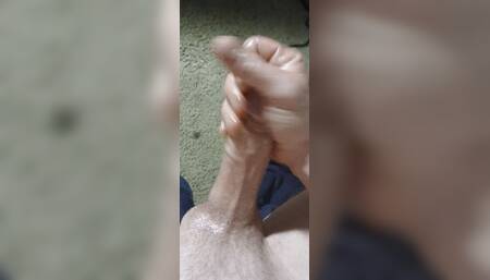 White cock maturating