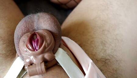 The Grand Final - Locktober Cage 15: Hotwife Puts cuck in Pussy Cage and Thong and Ruins His orgasm