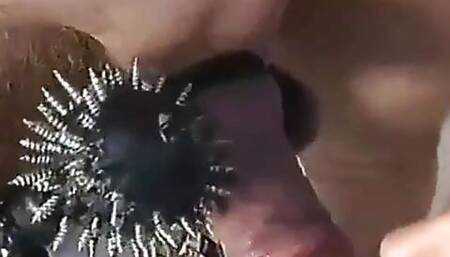 Slave domination with candle wax