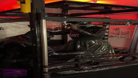 Restrained Rubber Doll