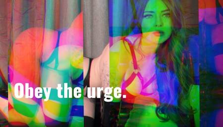 Obey the urge