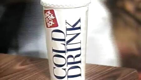 DVD The Howard Stern show parody