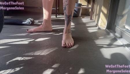 LICK MY FEET CLEAN SLAVE VOL 11 FV