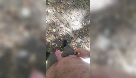 Enjoying the park solo.