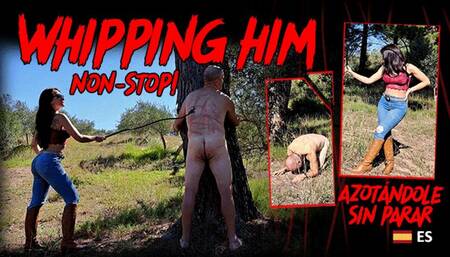Whipping him non-stop (small version)