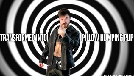 Transformed into pillow humping pup