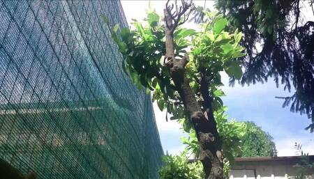 The Day the Screaming Started: A Portrait of a Crumbling Marriage 1080HD