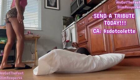 STOMPED TO THE GROUND VOL 14 FV