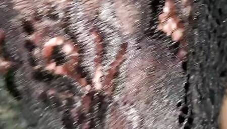 She sucks his glans to control his ejaculation and make him cum