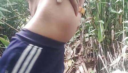 thick forest
