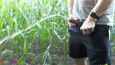 Big pissing and hot games with corncobs, my cock and ass in the cornfield