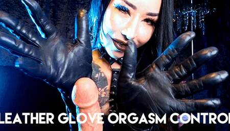 Leather Glove Orgasm Cotrol