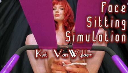 FaceSitting Simulation (WMV 1080P)