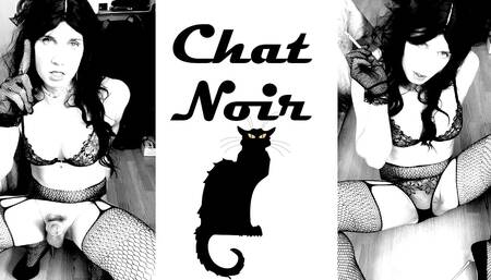 Chat Noir