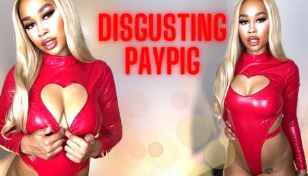 Disgusting Worthless Paypig