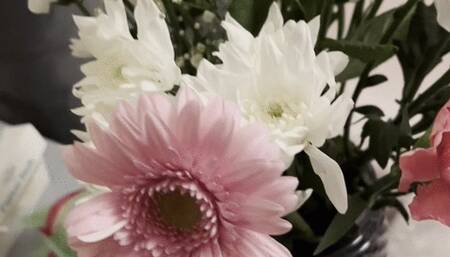 Flowers always making me sneeze