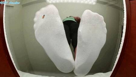 6ft Queen unaware of tiny man trapped UNDER SOCKED FEET! - MP4