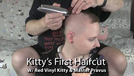 Kitty's First Haircut 1k