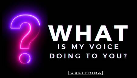 What Is My Voice Doing To You? (MP3)