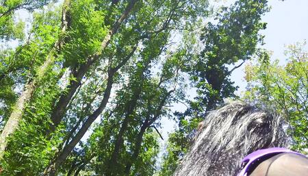 Mesmeriza Compilation 11 Island of Desires