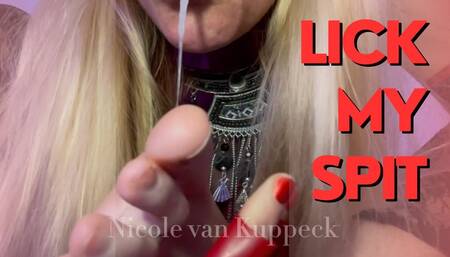 Make yourself useful, lick the spit off My soles