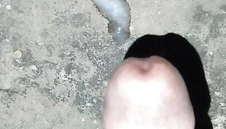 Dick