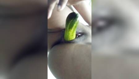 Desi Sapna Bhabhi Discount Cucumber From Cucumber