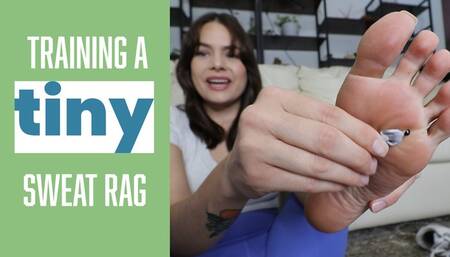 Training A Tiny Sweat Rag