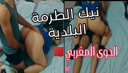 The Moroccan Hawa the bitch has a municipal container