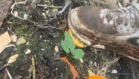 Fruit crush and spitting on my dirty nike airmax