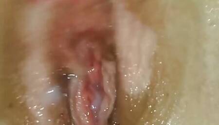 Second Favourite Close up