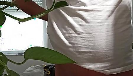 Fuck my toy