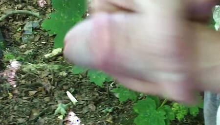 Wanking my hard cock outdoors in the Woods