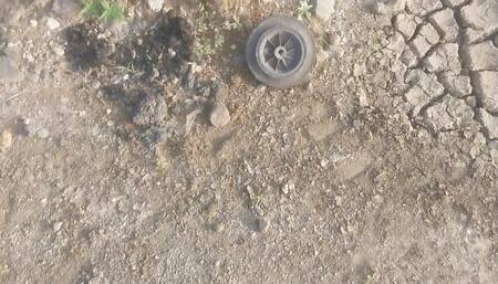 Jungle mein exercise Karte Karte sex karne Lag Gaya