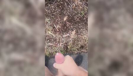 Compilation of Cumm.