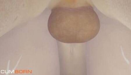 An unexpected meeting in the forest | Blender animation