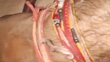 Indian Sunita chachi fucked hard creampie pussy tight pussi