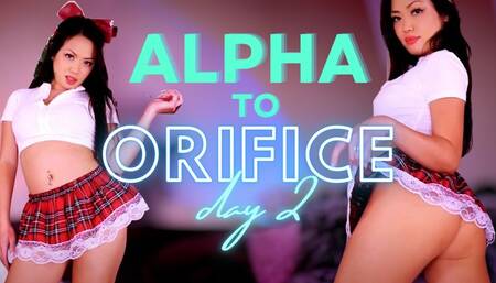 Alpha to Orifice Day 2
