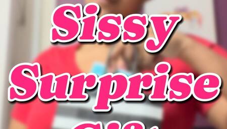 Spoiling My Sissy with a Haul Fit for a Princess