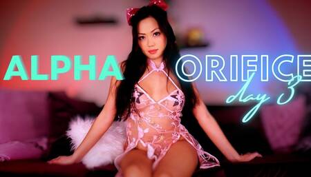 Alpha to Orifice Day 3 - 720p