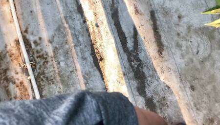 I Put My Penis in My Friend