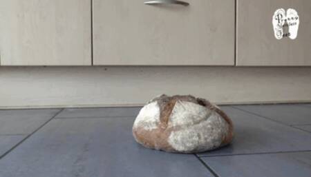 Bread under heeled wooden Sandals