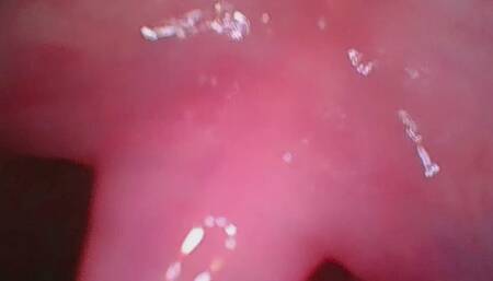 Borescope deepthroat man