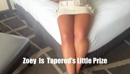 Zoey Ziptie and Taperedphysique in: Zoey Is Tapered's Little Prize